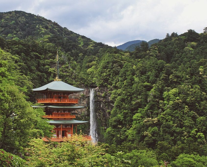 Retiro de yoga y meditación en Japón 2026 Bosque